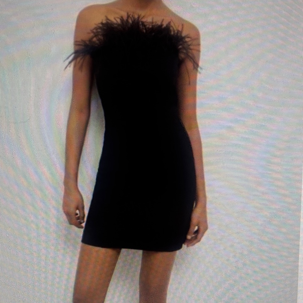 NWT Marella Lira Dress. Size 6 Detachable feather detail Bustier